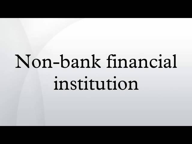 Non-bank financial institution