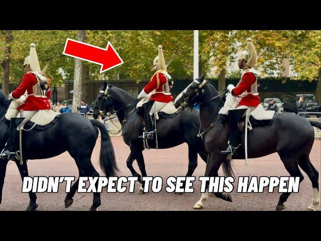 Household Cavalry Horse: “All I Want to Do Is Go Home”