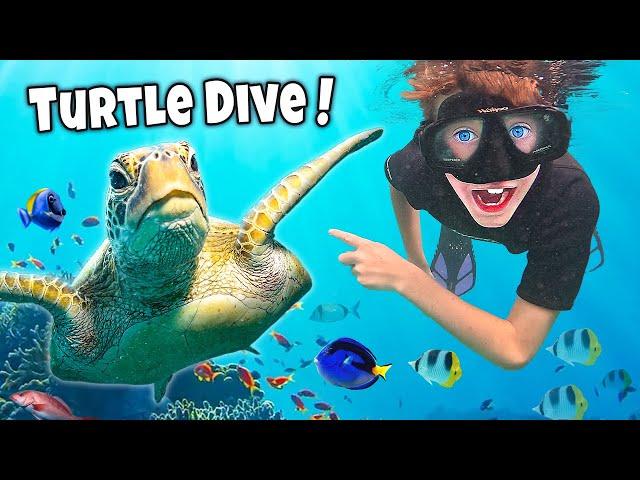 WE SWIM with SEA TURTLES and STINGRAYS!? Kids Puerto Rico adventure