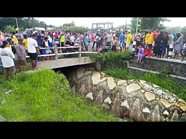 Authorities Drained This Canal After Years! Here's WHAT they Found!