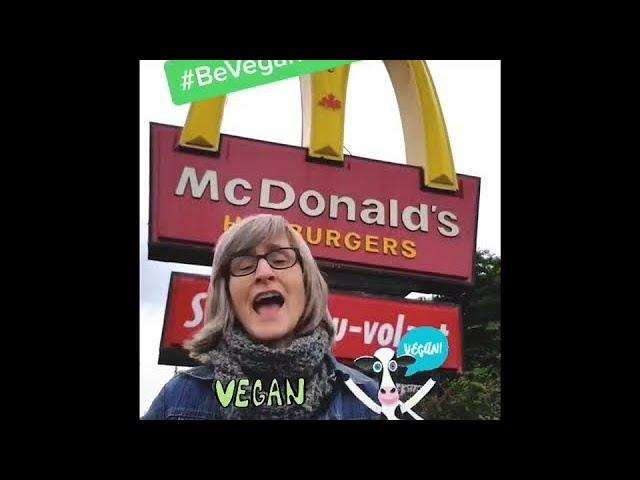 The best of the Ms. Karen the vegan teacher