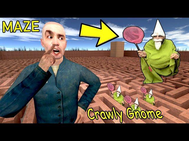 Never Go To Maze - Crawly Gnome