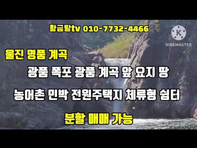 울진계곡땅매매 명품계곡 광품폭포와 광품계곡 앞 요지 땅