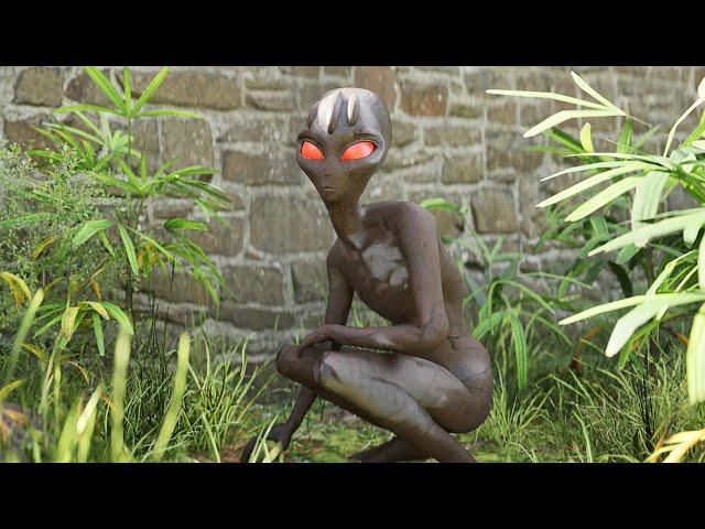 Brazil's Roswell - The Varginha UFO Crash / Retrieval of Non Human Beings // 3D CGI Animation