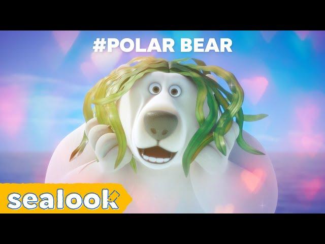 All of Polar BearㅣScary but SealyㅣSEALOOK Compilation