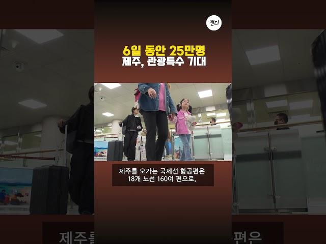 6일 동안 25만명...제주, 관광 특수 기대