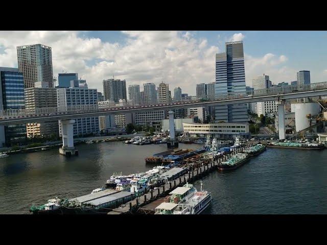 Rainbow Bridge via the Yurikamome Line