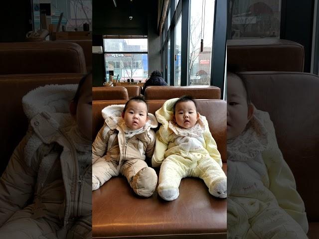 [딸쌍둥이 인생 249일차] 카페 데이트! 고개 쌱! 쌱! 쌱!