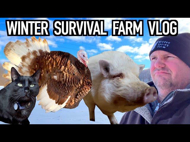 Prioritizing Our Farm Animals Winter Survival