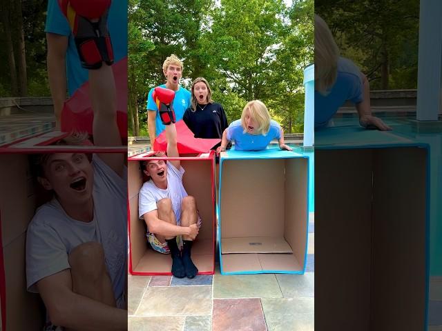 Don’t Get Punched Challenge @StephenSharer @GRACESHARER  #shorts