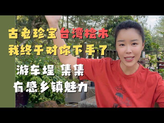 我终于对台湾的桧木下手了！台湾乡镇隐藏着无限宝藏 有历史 有文化 有美景 有人情 台湾最美的火车站车埕  集集观光有感