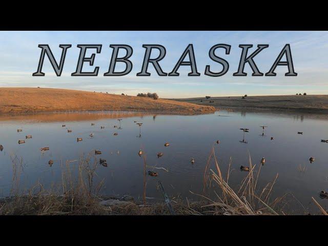 Nebraska Duck Hunt (Whiskey Slough)