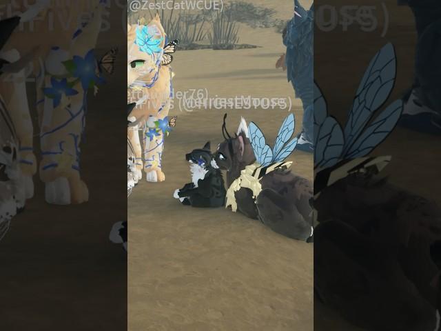 BLOOPER BOMB!! (Featured @MerryMouse on second clip) #northernlightsplays #wcueroblox #wcuefyp