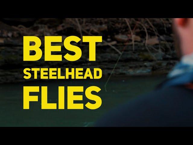 TOP 3 BEST Steelhead Flies for Fly Fishing the Great Lakes