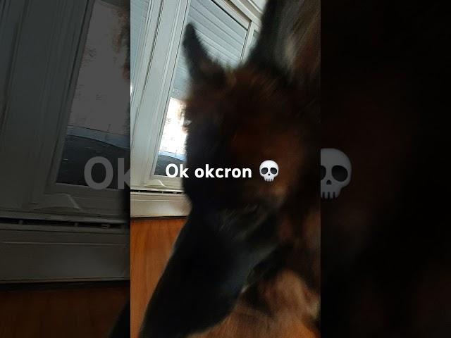 Okcron takeover #comedy #funny #business #okcron #viral #fyp