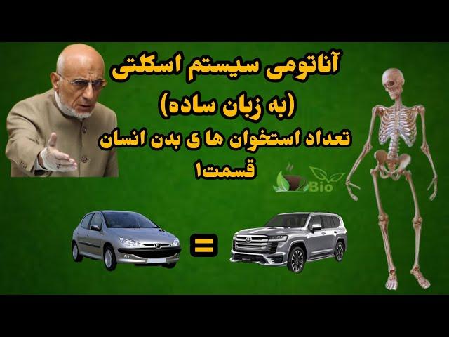 استخوان (آناتومی سیستم اسکلتی به زبان ساده) تعداد استخوان های بدن انسان بالغ. قسمت1