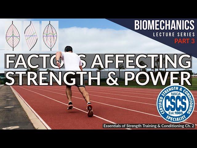 Factors Affecting Muscle Strength and Power | CSCS Chapter 2