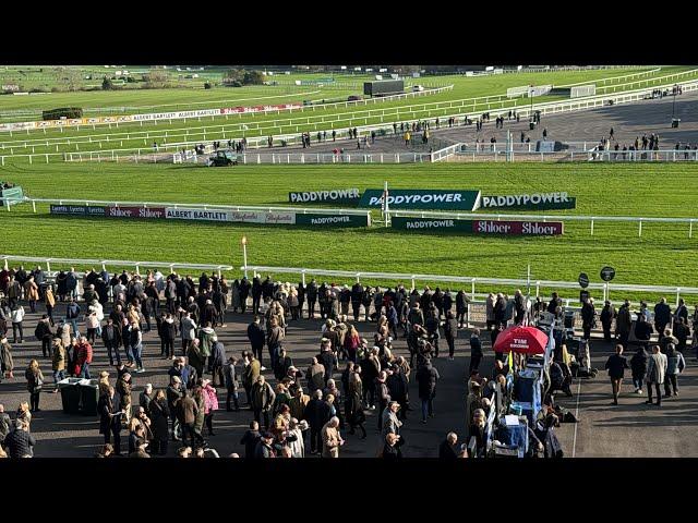 An Honest Day Punting - Cheltenham Friday - Part 1 