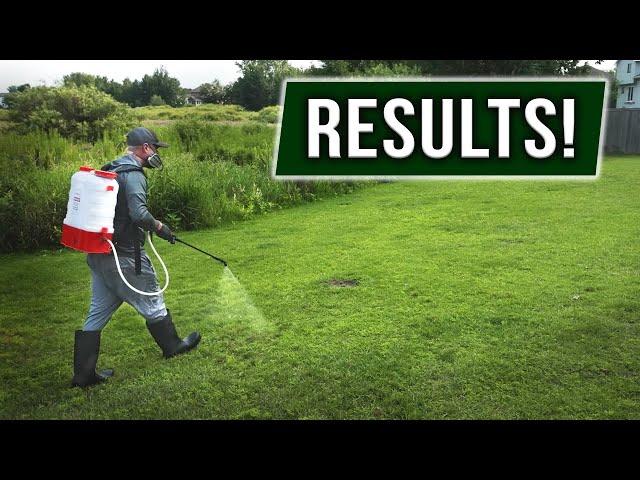 POTENT Herbicide Combo Results!