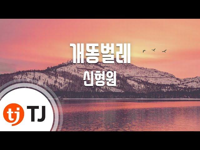 [TJ노래방] 개똥벌레 - 신형원 / TJ Karaoke