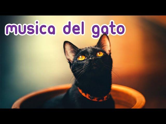  Magical Music for Cats - Relax and Calm your Feline Instantly