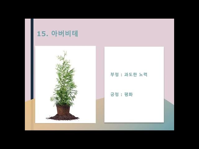 이모셔널아로마테라피(아로마심리상담보강2)