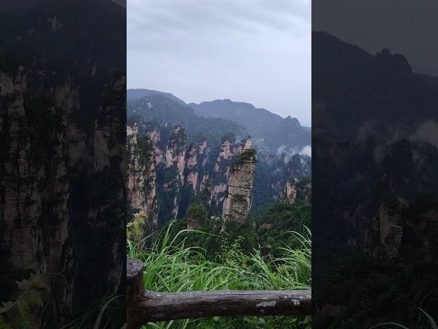 張家界4天3晚旅遊攻略，去張家界旅遊4天可以看到那些景點，張家界黃石寨風光#張家界 #張家界導遊張雄 #張家界國家森林公園 #zhangjiajie #travel #nature #旅行