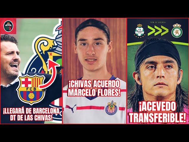 Acuerdo de CHIVAS con Marcelo FLORES | DT de Chivas Llegara de BARCELONA | Acevedo es Transferible