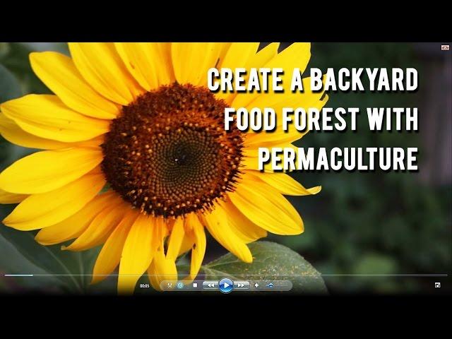 Free Introduction Into Permaculture