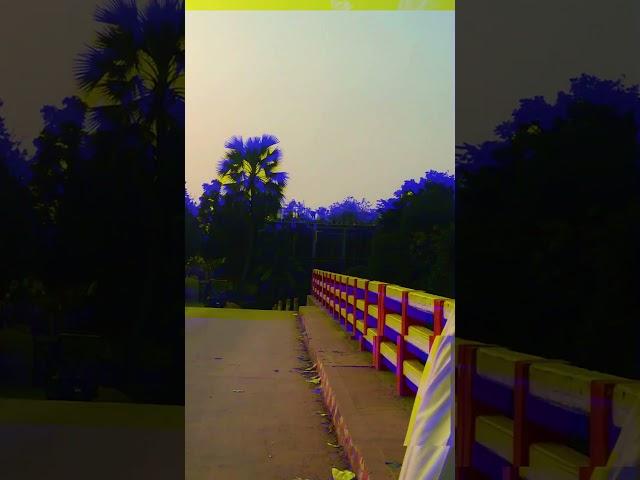 A Portrait of Sunset in the Landscape #shorts #shortfeed #shortsvideo #sunset #sunsetview #landscape