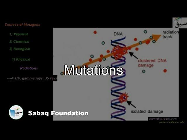 Mutations, Biology Lecture | Sabaq.pk