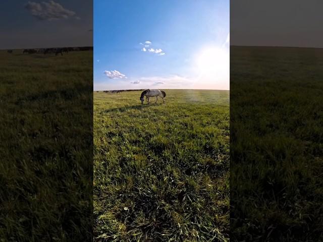 БайШубар в боевой готовности. Готовим для вас очень интересный ролик. Подпишитесь и не пропустите.