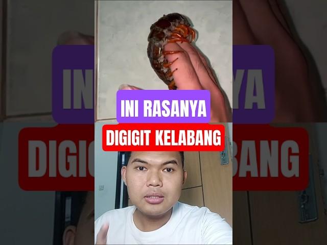 Ngerasain gigitan kelabang #centipede #faktaunik #fypviral