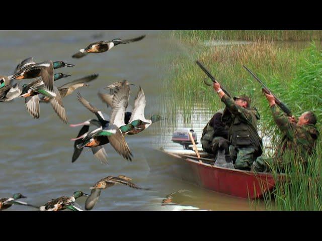 Hunting Serbia - Duck Hunting | Lov na divlje patke - Vršac |Caccia alle anatre |Jagd Wildenten