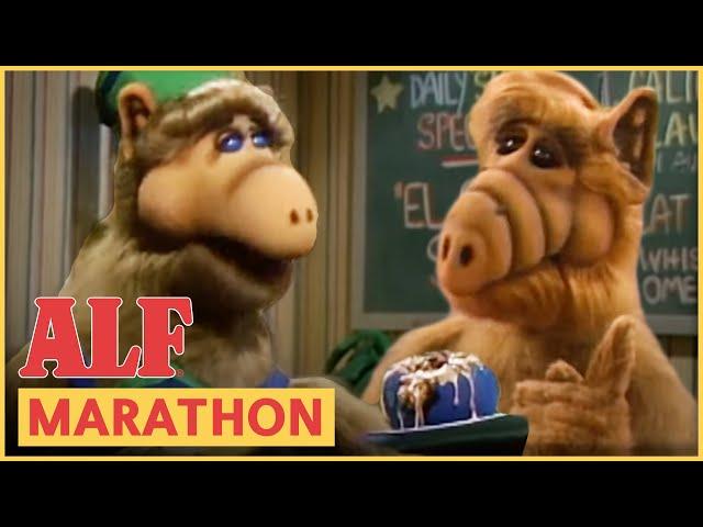 ALF's Melmac Traditions | ALF | FULL Episode Marathon