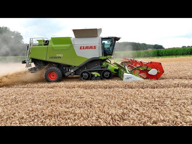 Уборка пшеницы 2023г, в Германии!  Комбайн Claas Lexion 770.