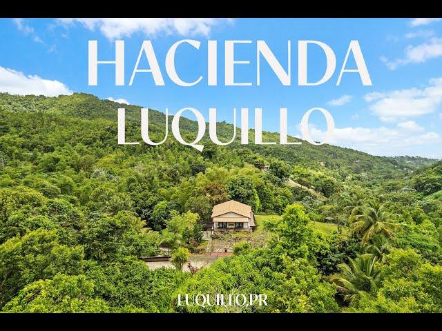 FOR SALE- TROPICAL RAIN FOREST MOUNTAIN RETREAT | 28 ACRES | LUQUILLO, PUERTO RICO, USA