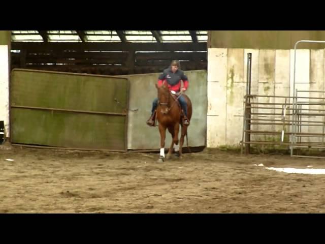 Sherri Thomson Reining Clinic