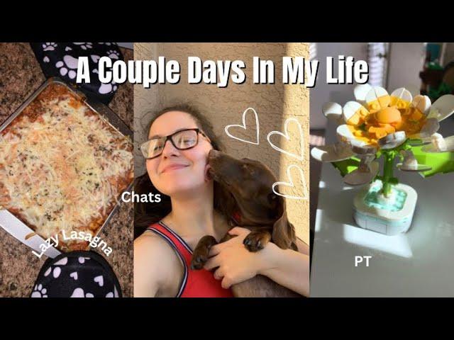 A Couple Days In My Life|Making Lazy Lasagna,Legos & Chatting About Everything