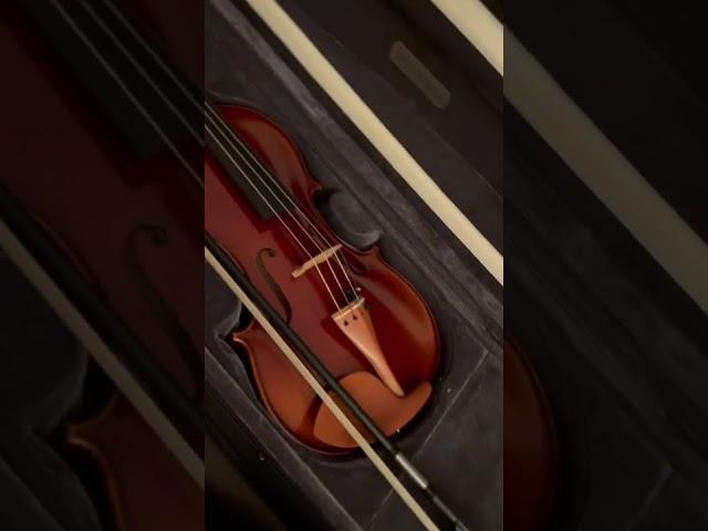 Violins are works of art #shorts #violin