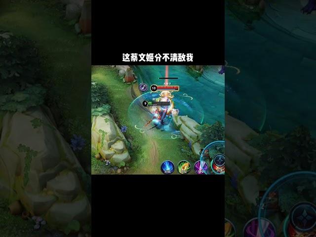 王者榮耀：蔡文姬分不清敵我