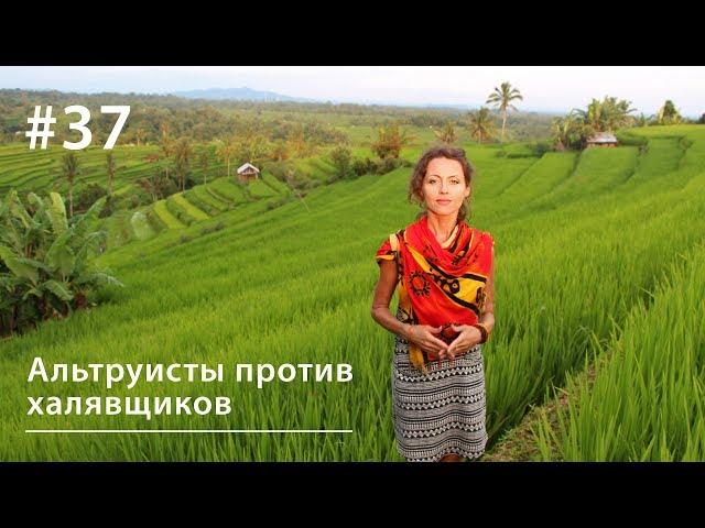 Давайте по справедливости: альтруисты против халявщиков // Всё как у зверей #37