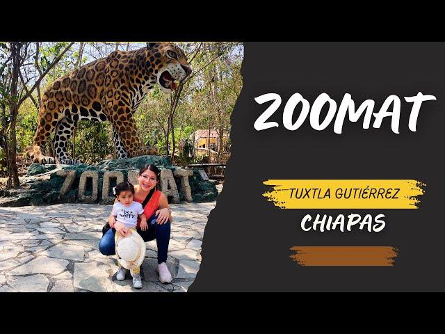 Zoológico de Tuxtla Gutiérrez, Chiapas  | ZOOMAT