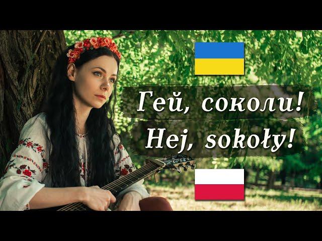   Гей, соколи! / Hej, sokoły! – Ukrainian/Polish folk song