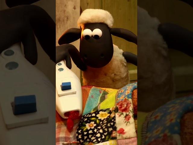 Shaun das Schaf - Chaos Kätzchen #shorts #shaunthesheep 