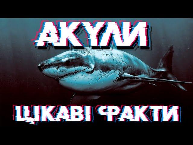 Цікаві факти про акул #акула #нападакули #китоваакула