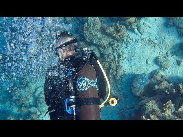 The First International Avelo Dive Center | Dive Friends Bonaire