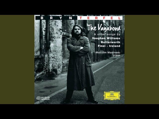 Vaughan Williams: Songs of Travel: IX. I Have Trod the Upward and the Downward Slope