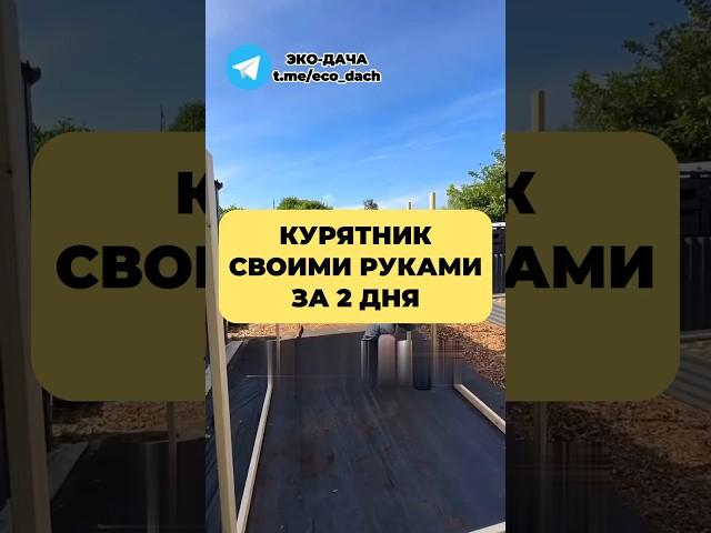 КУРЯТНИК СВОИМИ РУКАМИ за 2 ДНЯ