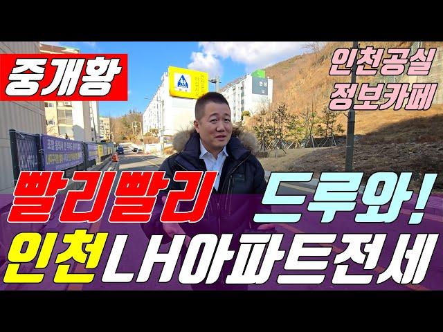 인천LH전세6000만,가성비 아파트전세매물